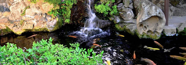 Pond Waterfall Image