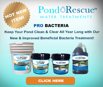 Pro Bacteria Ad